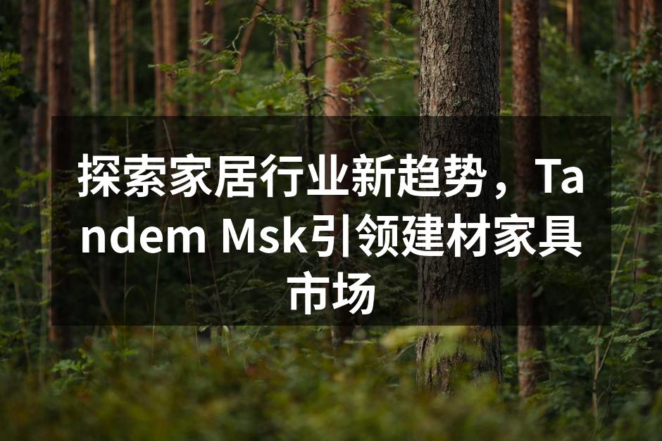 Tandem Msk新产品发布会现场